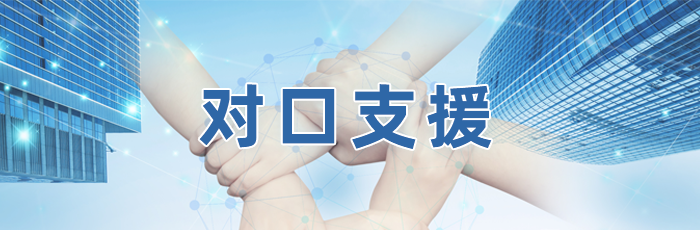 对口支援